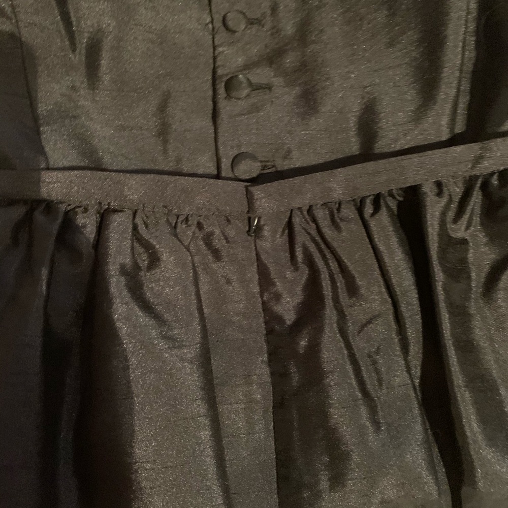 The Limited Dress - Picture 5 of 5